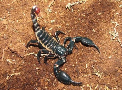 RDT_20251227_1555024228593910593405864