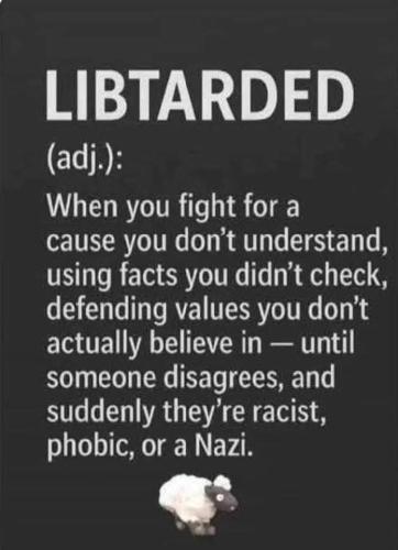 FB_IMG_1765759683933