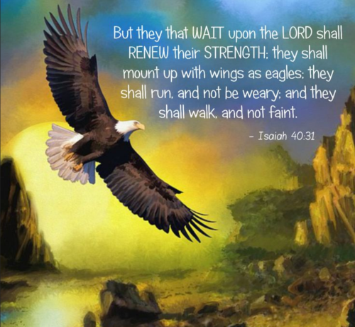 Screenshot_20251227-111335-755