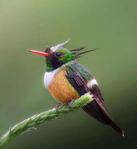 RDT_20251231_1328015462504970147096113