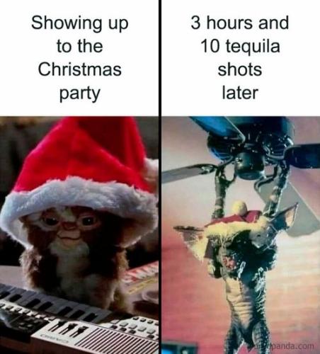 funny-hilarious-christmas-memes-18-67628147110b0__880
