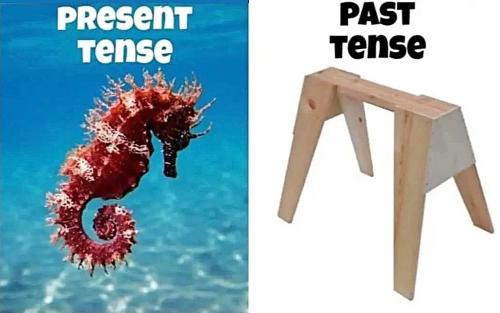 present-tense-past-tense