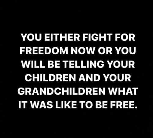 1ec6f542-067e-4e0d-801c-090aea0f3df1