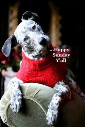 c6d2b12af4787a94f7d77beda59e997f