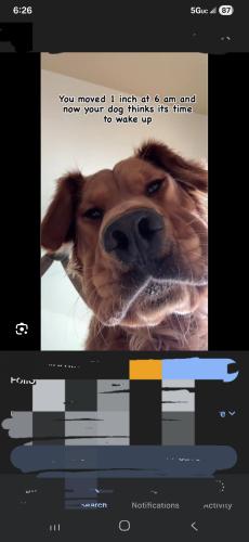 Screenshot_20251202_062618_Google