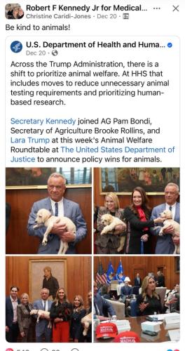 1219D045-B766-40A2-B204-479CE87B512F