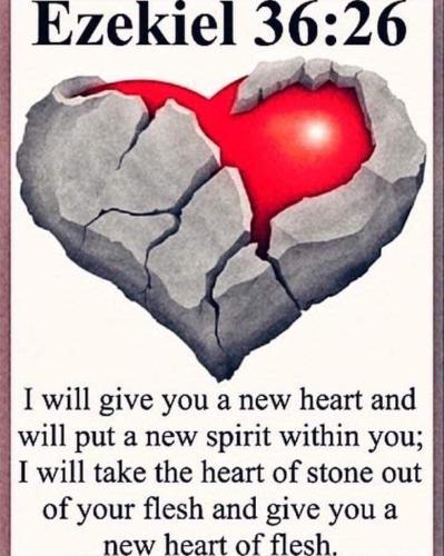 IMG_20251214_131222_571