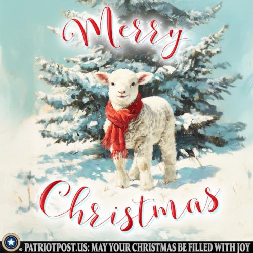 01KD70C0B42KM2M6HFAN1MBKWA