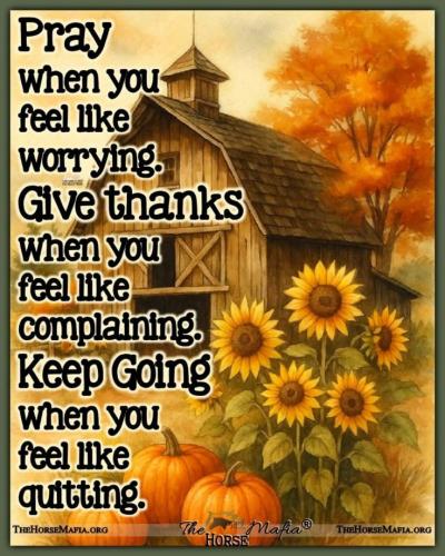 cc66d07ac4063be6ed8bd3ad3560f15b