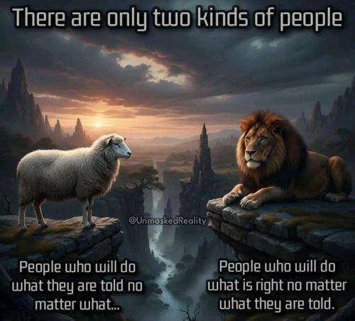 image_A593EC46-CB17-4355-AC04-3AFC683E8988