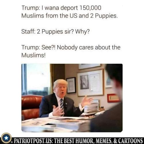 01KC8MFP7FT86K18Y0YH6TFSX0