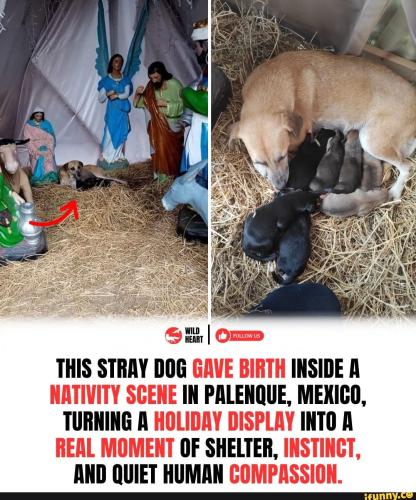 7eda3d2b521a7825ffead504ec45b7228cb79c14d7909ad1e97e1f9037e95a58_1