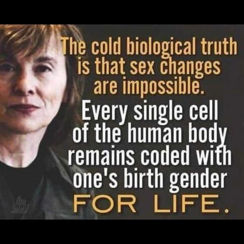 main-qimg-b372a9cc6e31cc003750cb5e30ceae4b