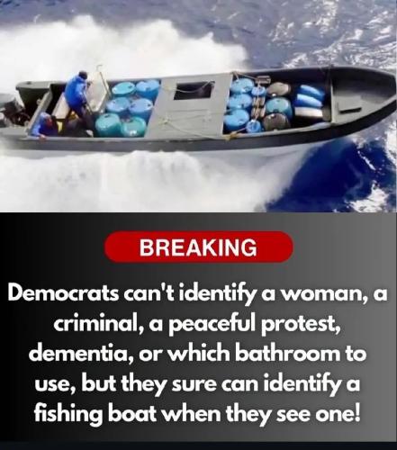 1764934125587254291296745731988_466437477535087