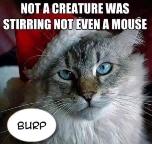 not-a-creature-was-stirring