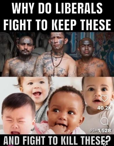 17670943401422224198943862385164_177107180996864