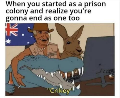 e871c2f8dcbc5e3c931a6a4772b43efa