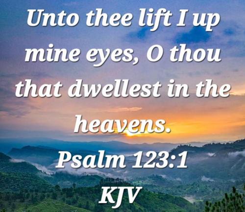 c219161f-7654-4109-a176-cf3fcc33e669