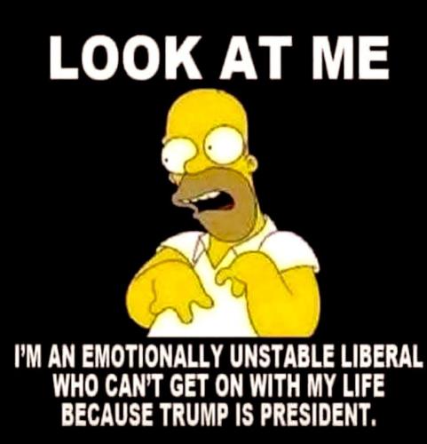 1c7822de-72ee-437c-8a41-d6f435661dc5