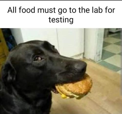 food-to-lab-for-testing