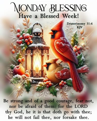 601018502_1166866765660565_2039148716768976951_n