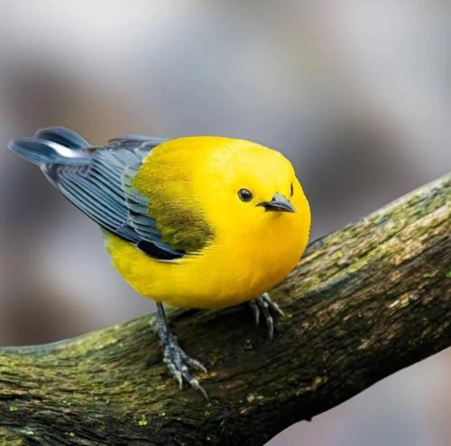 RDT_20251215_2108276004642865371905101