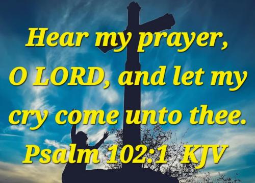 1997a1fc-2d84-40a1-889c-929c5db18397