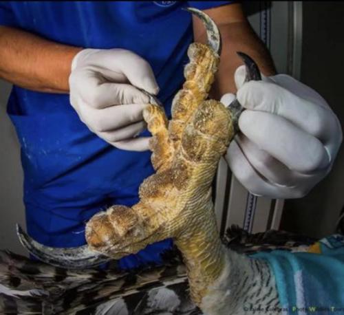 RDT_20251223_033121109436196099116014