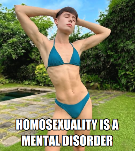 Homosexuality is a mental disorder