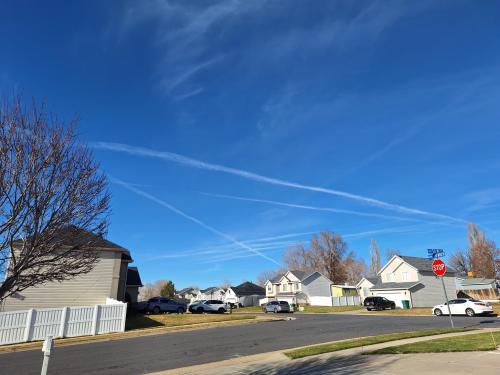 bf13dc5a-00a4-4daa-b6b0-0908a97c5f3b