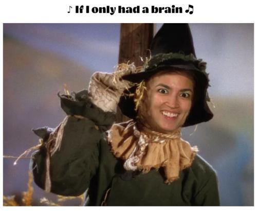 if-i-only-had-a-brain
