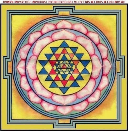 ,       ,     424899179_74878085712