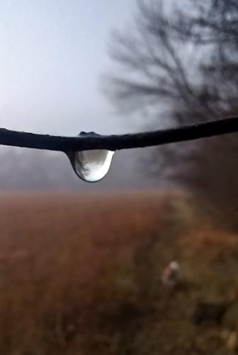 Resized_20251123_090531