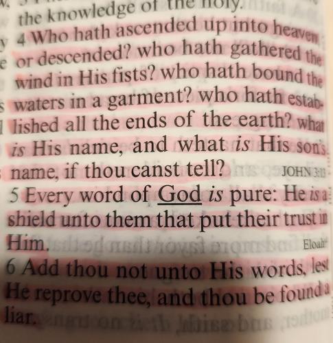 FB_IMG_1766926218993