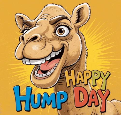 1-Hump Day