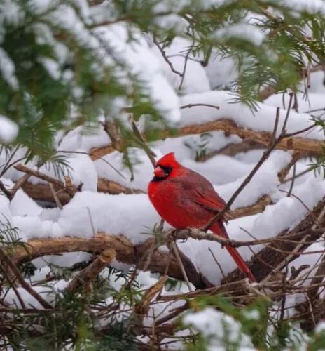 a0bed5d7618257df484b61df58602a33