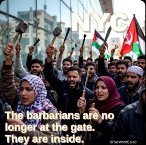 TESTHUB_photos_users_dnYTyq8MRZWjRYKLqG0dHMGyr5V2_-Ohg_NTuBD1IriEkEol2_img_rsz__1100x1100