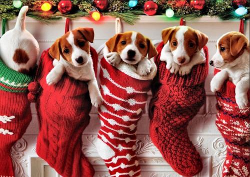 Screenshot_20251225-145724~2