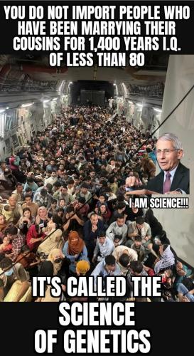 ZomboMeme 03122025141119