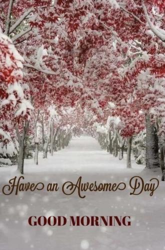 59bed91e00c4bac5fabf099ccb8cfad1