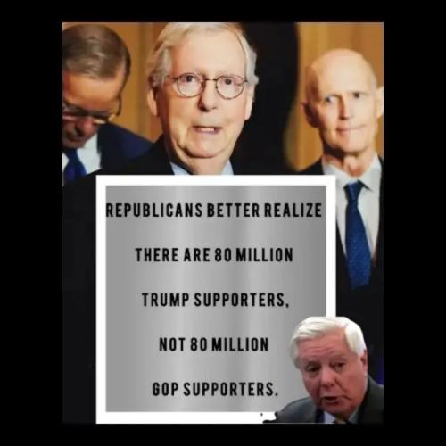 TESTHUB_photos_users_KPBY8Tc46ldqLjWXf6bqxqOW3AR2_-OfNAz9WP0r8NMv0epjK_img_rsz__1100x1100