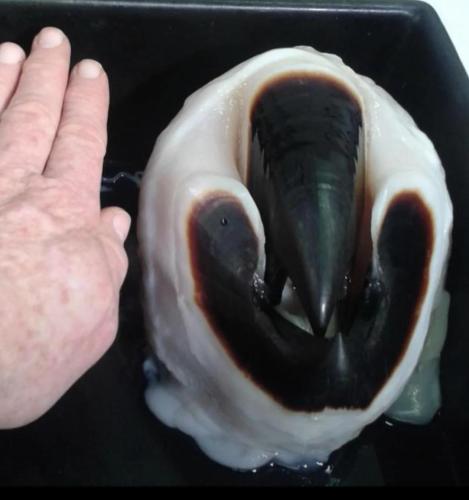 RDT_20251214_1004328565997043367778990