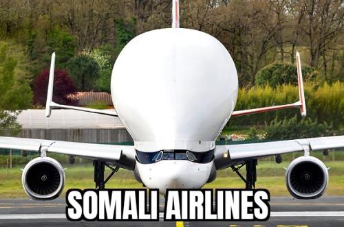 ZomboMeme 30122025103900