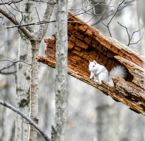 RDT_20251229_0656529205259881208382587