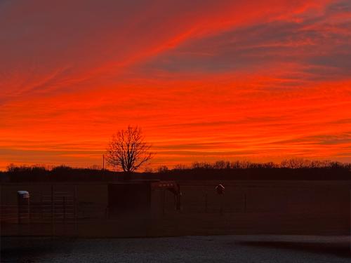 03A57404-6648-41A8-BD15-F93B6DD625F6