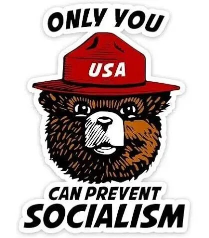 TESTHUB_photos_users_KPBY8Tc46ldqLjWXf6bqxqOW3AR2_-OflytqqJAFxpMlX9aM1_img_rsz__1100x1100