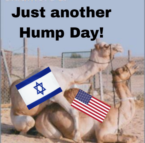 Picsart_25-12-03_09-22-33-499