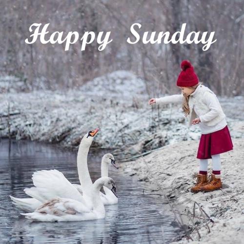 594539893_1342922924540642_4974858941074989173_n