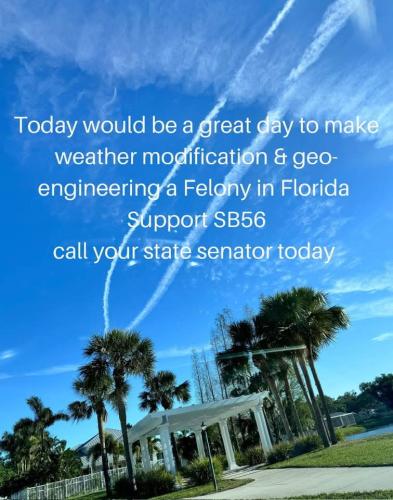 This is geongineering man-made weather modification) silver iodide, barium, strontium) and nanoparticulate metals like aluminum.