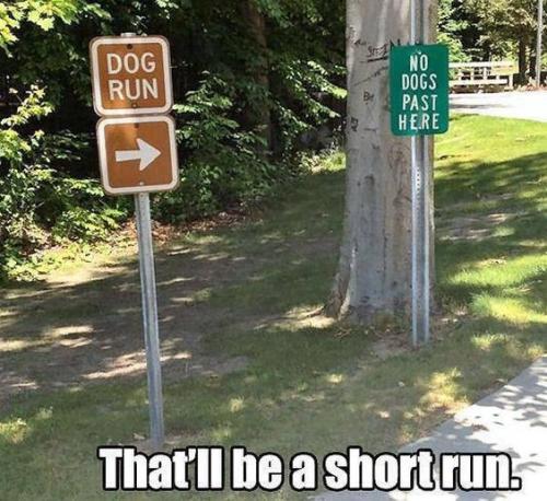 short-run